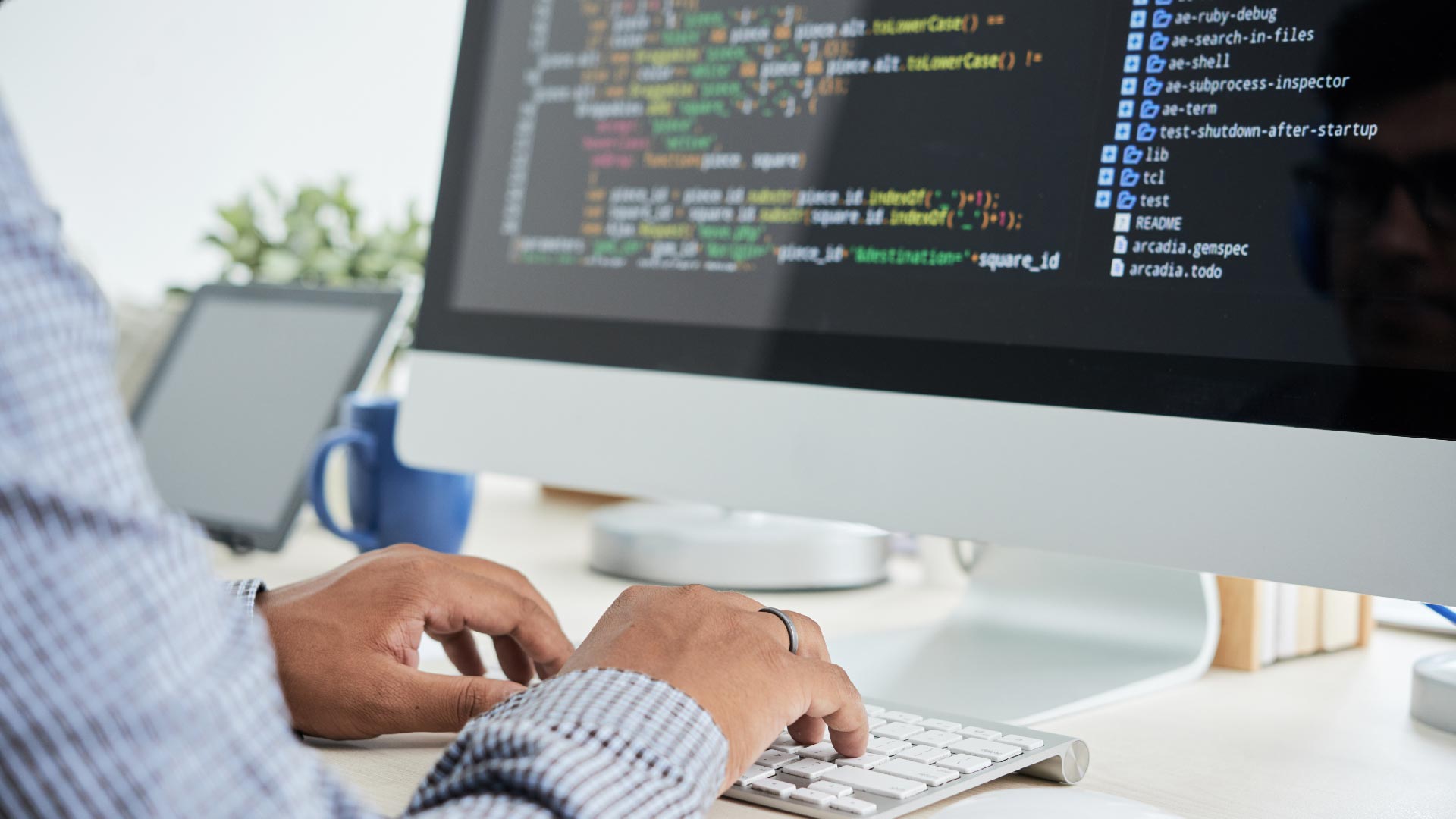 Desarrollo de Software